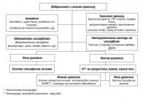 Поведение при неясни фебрилни състояния