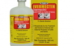 Ивермектин (Ivermectin)