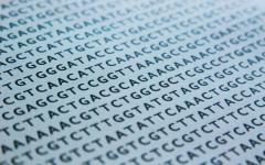 Според проф. Златко Кълвачев вирусната терапия е бъдещето за справяне с рака ДНК-код