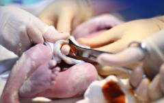 Новородено