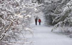 Разходките на чист въздух носят полза не само за червата, но и за цялото тяло