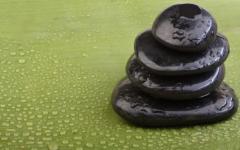 Кожата дължи еластичността си на водата