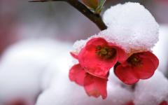 Играта на градусите нагоре-надолу поставя на изпитание всички органи и системи