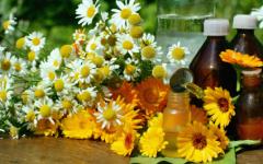 Капките за нос, приготвени от лайка, са особено ефикасни при малки деца и бебета Капките за нос, приготвени от лайка, са особено ефикасни при малки деца и бебета