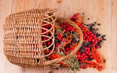 Черният глог има още по-добри лечебни свойства от червения