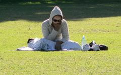 Студова алергия