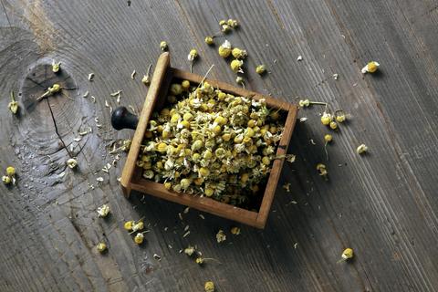 Лайката се използва при голям брой заболявания