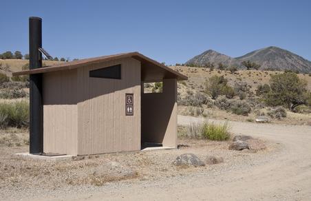 През лятото най-често атакуват ентеровирусите