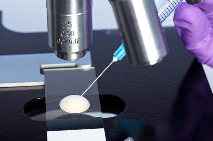 Данните на „татковците“ от Дания са кодирани, без имена