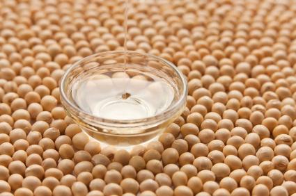 Соята се използва главно като маслодайна култура